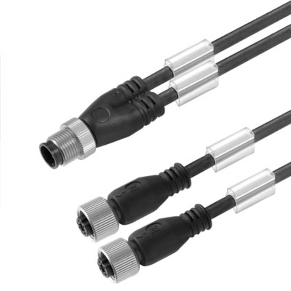 B-Ware Weidmüller 1005461000 Konfektioniert M12 Buchse Sensor /Aktor Steckverbinder