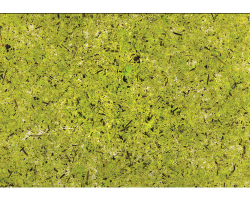 B-Ware Klebefolie Folie Moos Sichtschutz Dekorfolie Fenster Wand Grün Natur 4er Pack