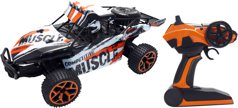 B-Ware Amewi Extreme D5 1:18 Einsteiger Modellauto Elektro Auto Buggy Siehe Text/Foto
