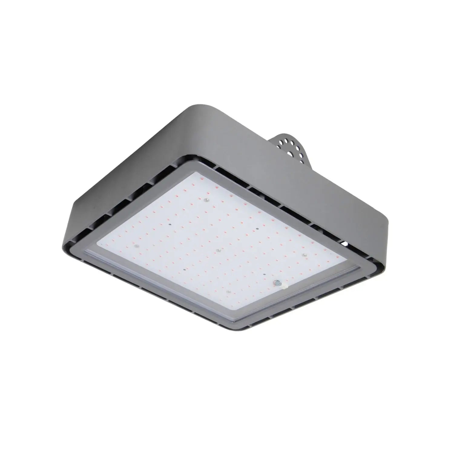 B-Ware Bioledex Pflanzenlampe Leuchte Go Leaf X1 S3 Rot Blau Photosynthese Licht