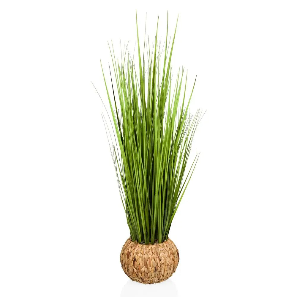 B-Ware Hjh Office Kunstpflanze Dekopflanze Pampasgras Cortaderia Kunststoff 112 Cm