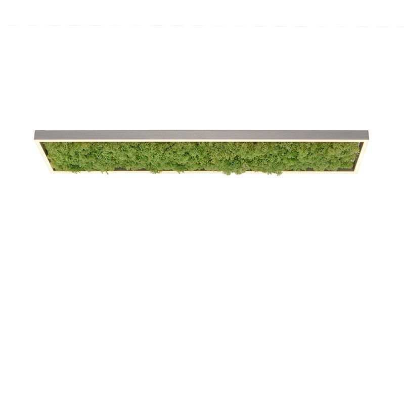 B-Ware Green Deckenleuchte Lampen Led Leuchte Moos Aluminium Acryl Quadrat 1000x250648