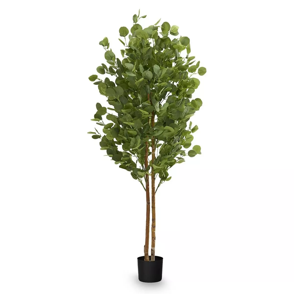 B-Ware Maia Shop Eukalyptusbaum Kunstpflanze Baum Künstlich Naturholzstamm Kunstbaum