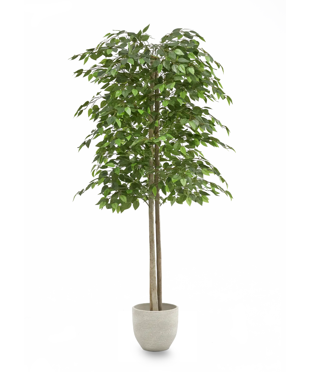 B-Ware Maia Shop Künstliche 2 Baumkronen Ficus Kunstpflanze Wohnzimmer Dekoration 150cm