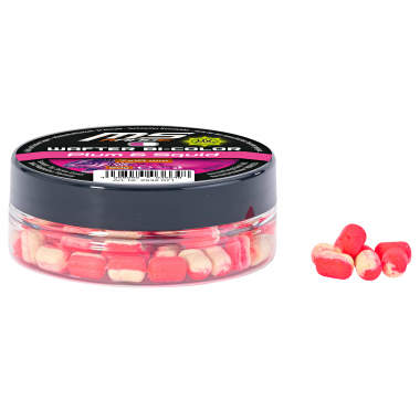 MS Range Wafter Bi-Color Dumbells (Plum & Squid)