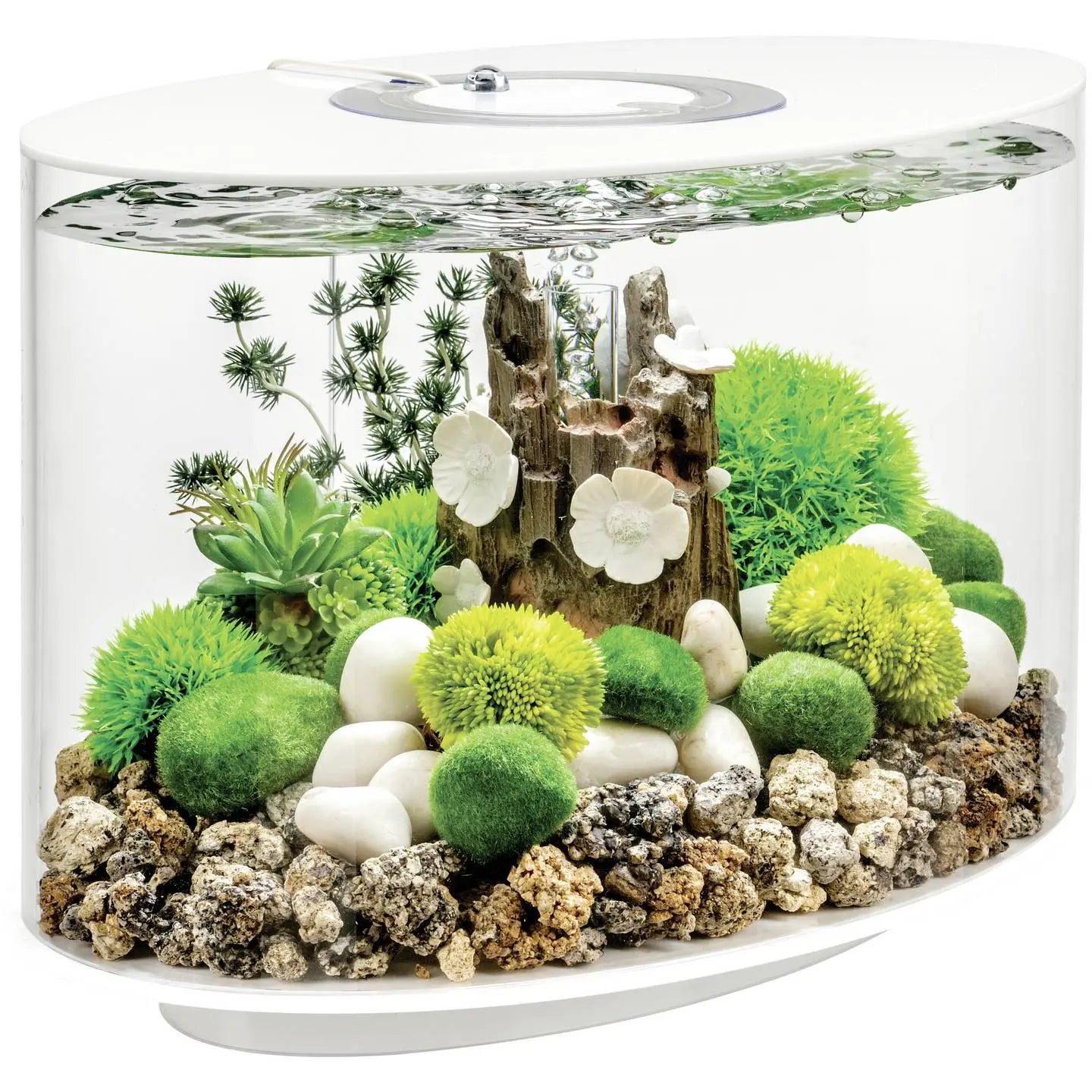 B-Ware Oase Aquarium Fischbecken Bi Orb Loop 15 Led Weiß Acryl Innen Komplettset Filter
