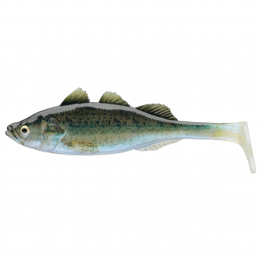 Prorex Live Perch (Baby Zander)