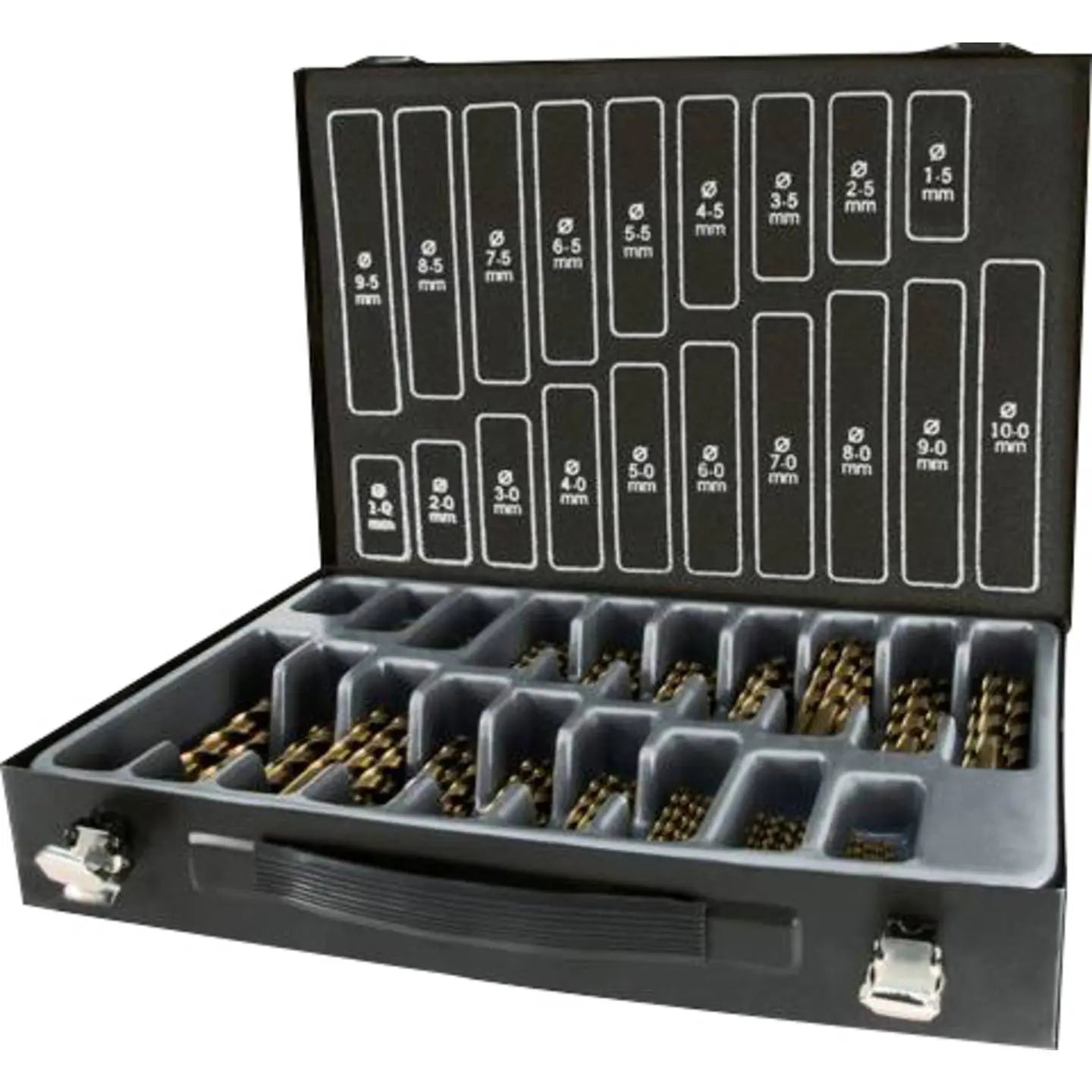 B-Ware Ruko Terrax Spiralbohrer Set Bohrer Magazin Din338 Hss Co 5 Spibo 170 Teilig
