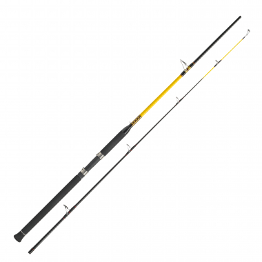 WFT Raubfischrute Never Crack Heavy Spin Heavy Spin 400 210 cm 100-400 g