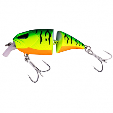 Zeck Cat Pointer (Firetiger)