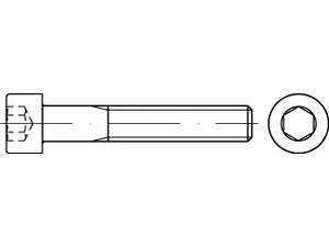 B-Ware Zylinderschrauben Schrauben Iso 12474 Stahl 12.9 M 12x1 5x40 100 Stück